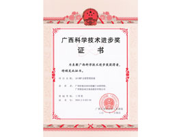 【科技類】科技進步三等獎證書(DRP)